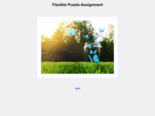 flexible_puzzle screenshot
