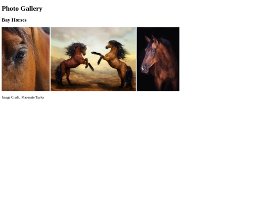 photo-gallery screenshot