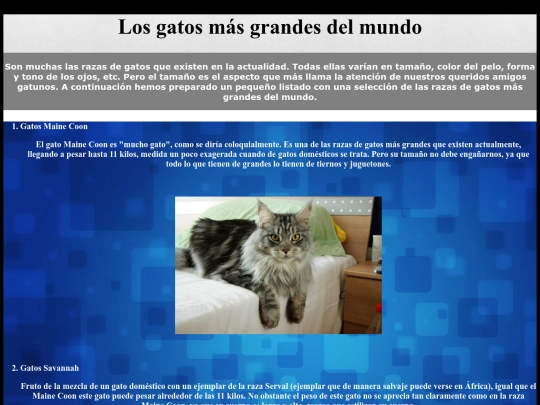 Losgatosmaslindosdelmundo screenshot