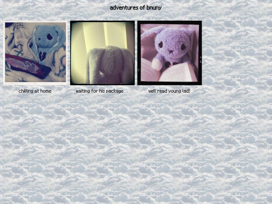 articles/bnuy screenshot