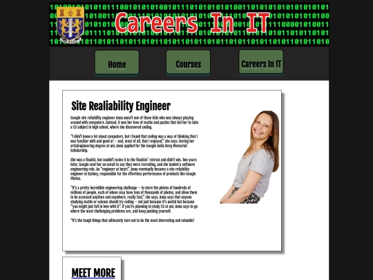 Careers In IT screenshot