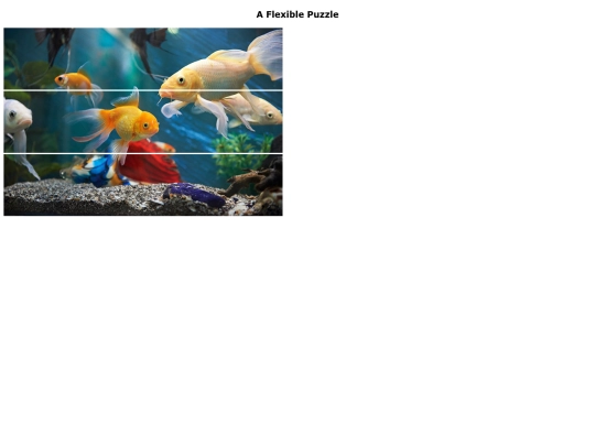 FlexiblePuzzle screenshot