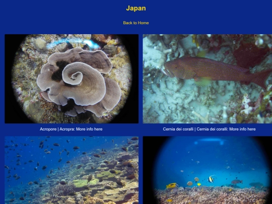 japan screenshot