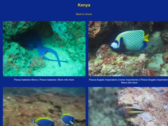 kenya screenshot