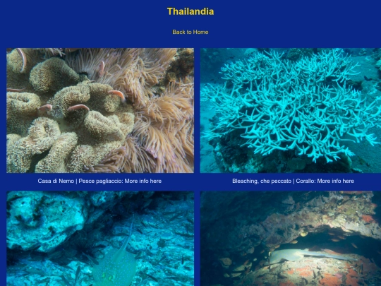 thailandia screenshot