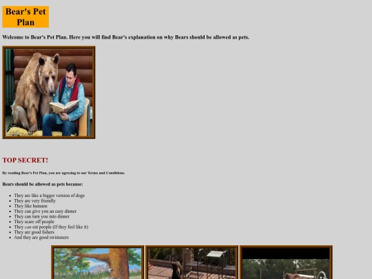 Bear's Pet Plan screenshot