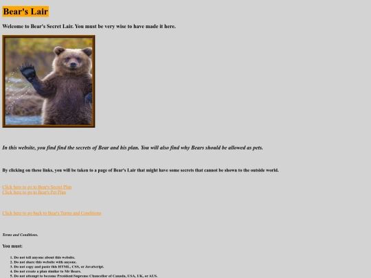 Bear's Secret Lair screenshot