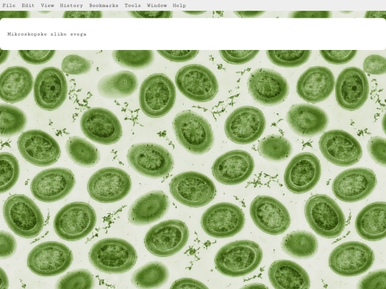 mikroskop screenshot