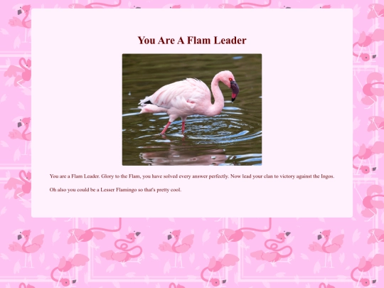 result1flamleader screenshot