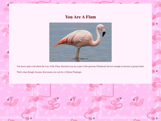 result2flam screenshot