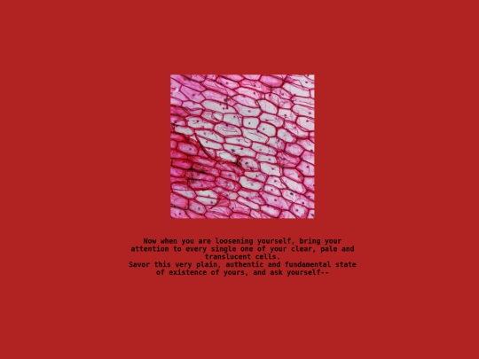 projects/the_onion_ring/seventeenth_page screenshot