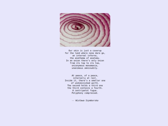 projects/the_onion_ring/sixth_page screenshot