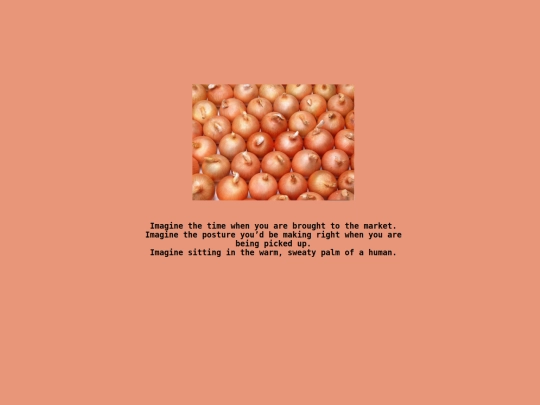 projects/the_onion_ring/thirteenth_page screenshot