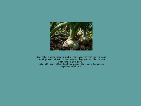 projects/the_onion_ring/twelfth_page screenshot