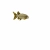 fish avatar