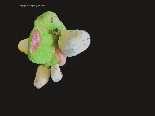 gallery/miscellany screenshot