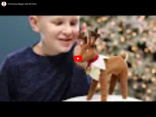 archives/Canadian Retailers - Elf On The Shelf Canada_files/wpjkHnG8WUo screenshot