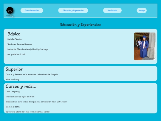 HojaVida/EducaciónYExperiencias screenshot