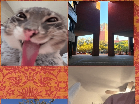 imageboard screenshot