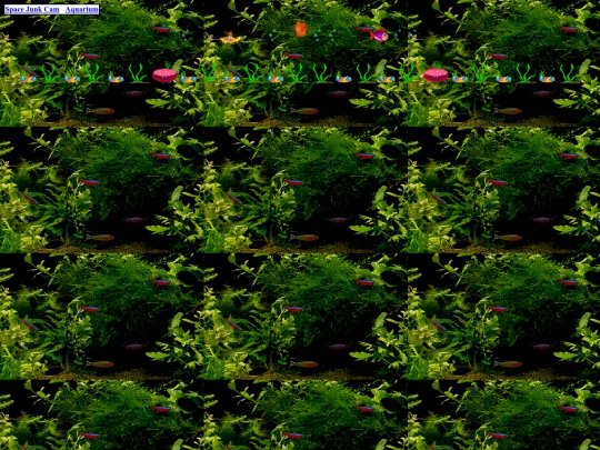 aqua screenshot