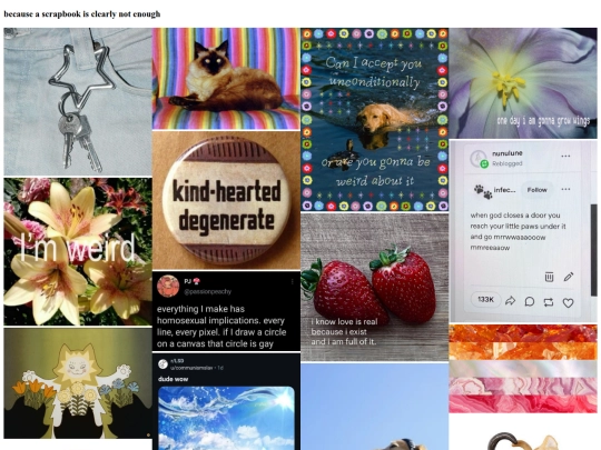 pages/moodboard screenshot