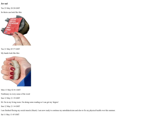 Jernal1 screenshot