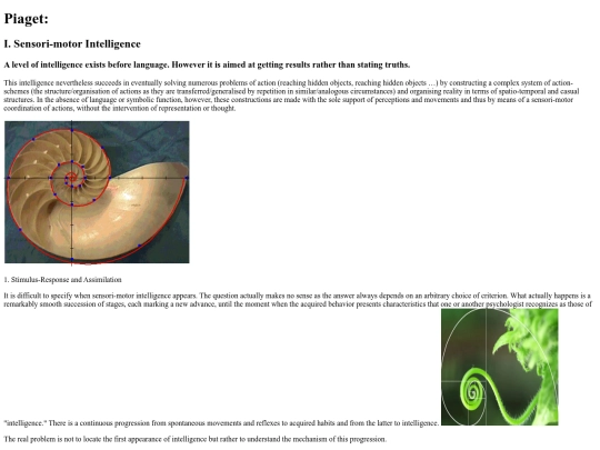 Piaget screenshot