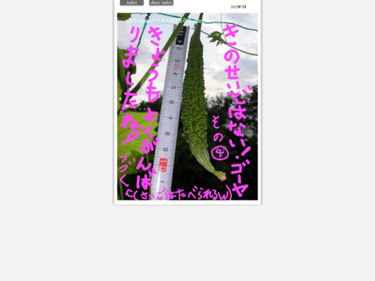 2022/goya2022jul4 screenshot