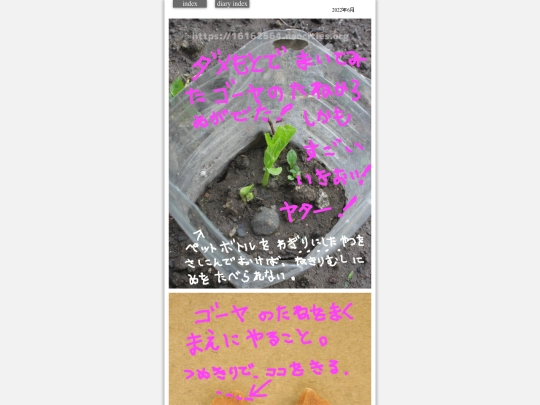 2022/goyaTane2022jun11 screenshot