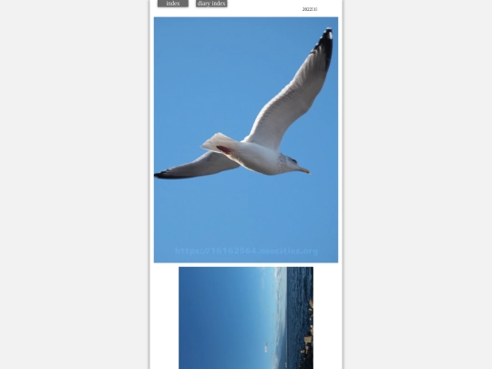 2022/hare2022jan1 screenshot