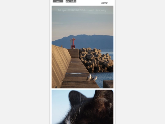 2022/hare2022jan11 screenshot