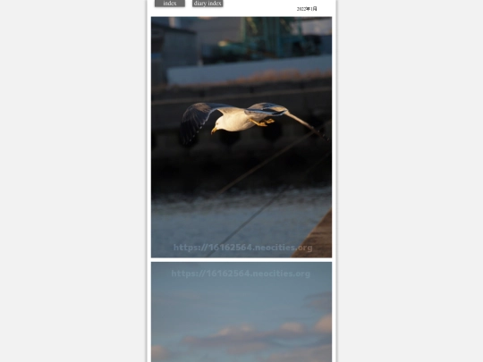 2022/hare2022jan5 screenshot