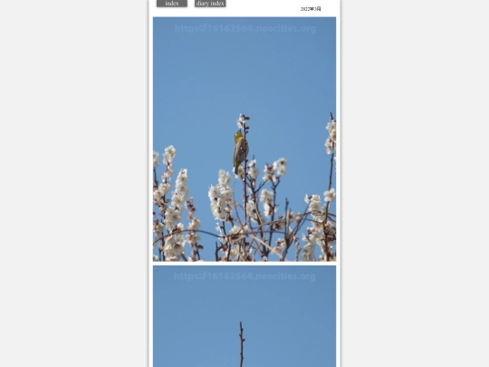 2022/hare2022mar11 screenshot