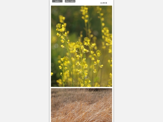 2022/hare2022mar15 screenshot