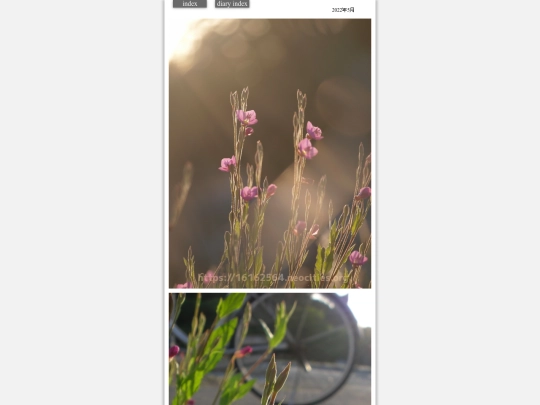 2022/hare2022may11 screenshot