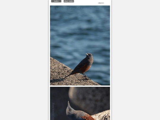 2022/hare2022nov1 screenshot