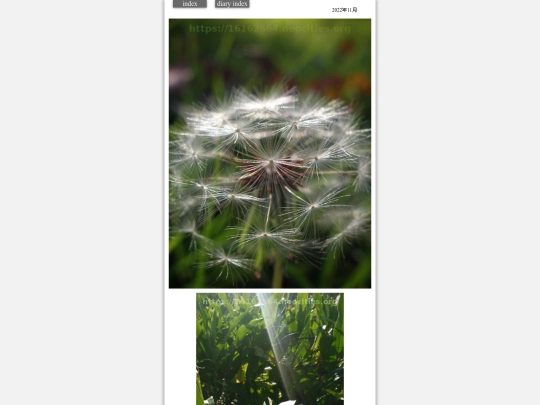 2022/hare2022nov11 screenshot