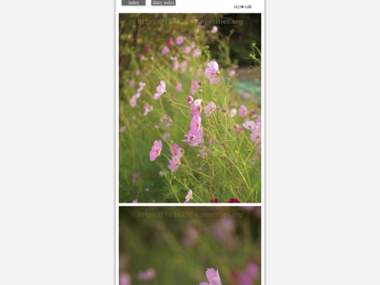 2022/hare2022oct1 screenshot