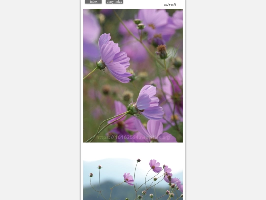 2022/hare2022oct2 screenshot