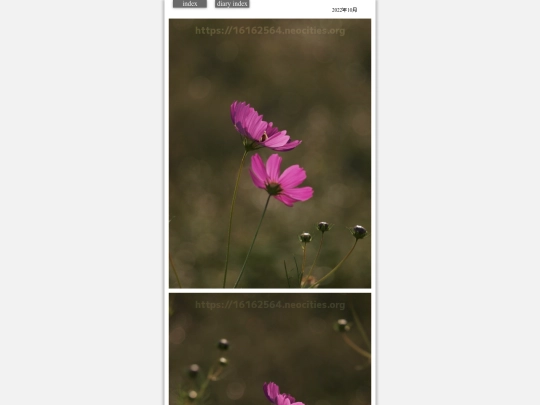 2022/hare2022oct22 screenshot