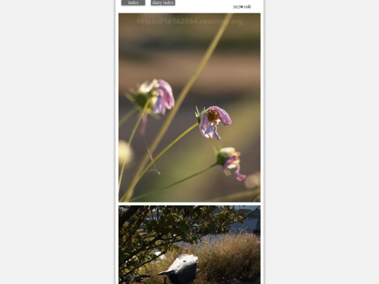 2022/hare2022oct77 screenshot