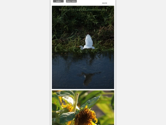 2022/hare2022sep1 screenshot