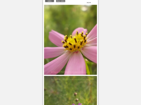 2022/hare2022sep33 screenshot
