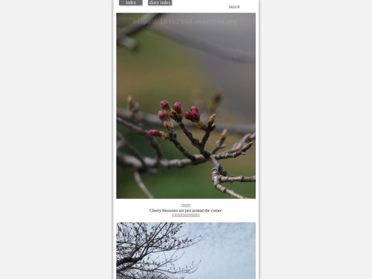 2022/saku2022mar1 screenshot