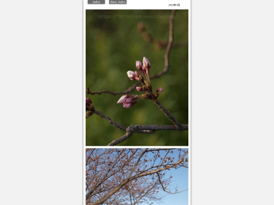 2022/saku2022mar2 screenshot