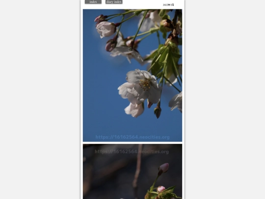 2022/saku2022mar7 screenshot