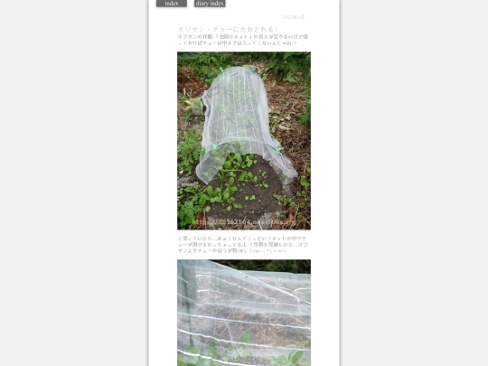 2023/cyoo2023jun25 screenshot