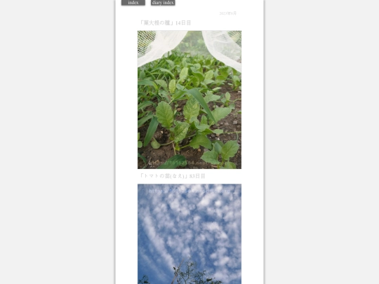 2023/hadaikon2023aug1 screenshot