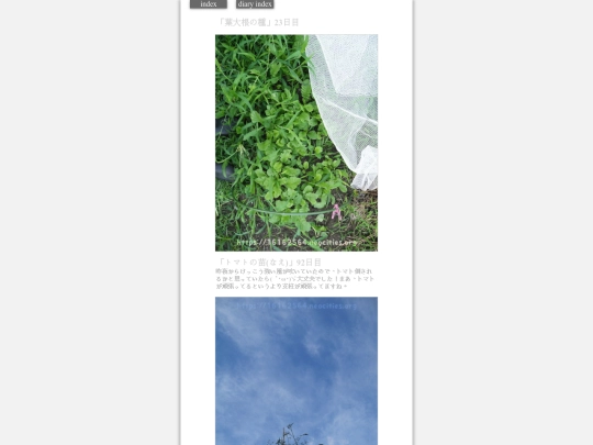2023/hadaikon2023aug10 screenshot