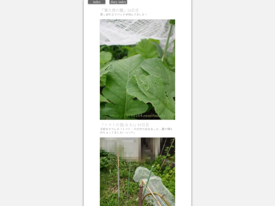 2023/hadaikon2023aug11 screenshot